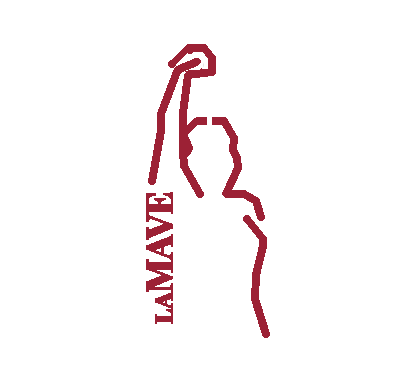 Perfíl de LAMAVE amb el puny alçat